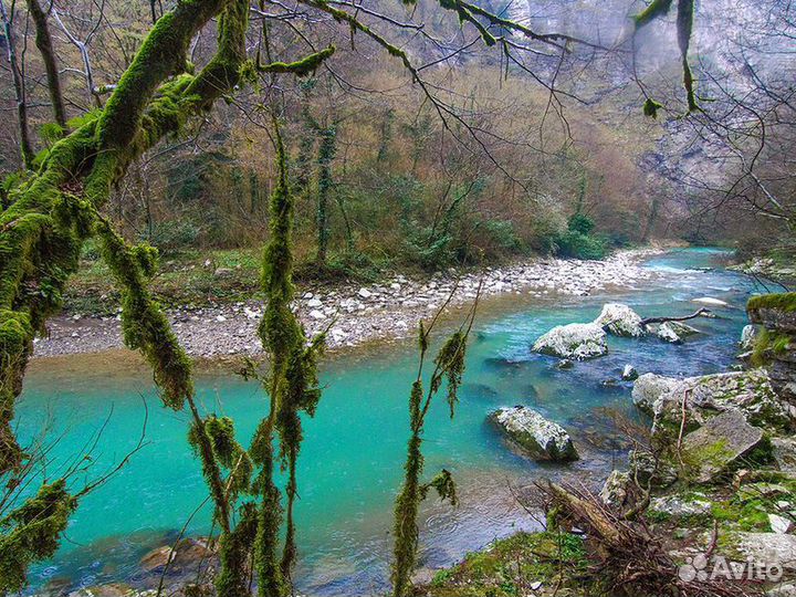 Экскурсия — Сочи — По следам динозавров в окрестно