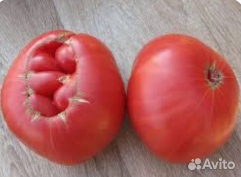 Рассада томаты, баклажаны, перцы