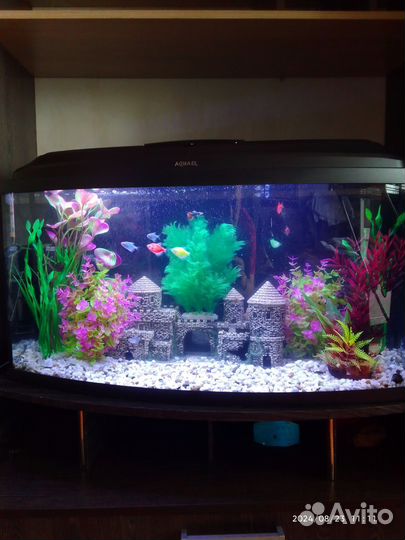 Аквариум
