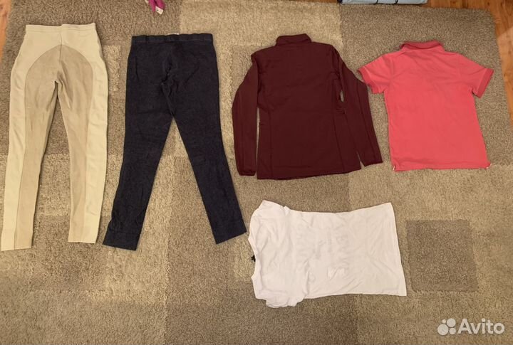 Бриджи футболка куртка жилет верховой езды xs-s-м