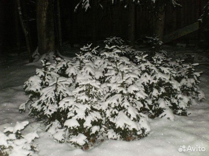 Фотоаппарат olympus