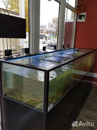 Раки круглосуточно