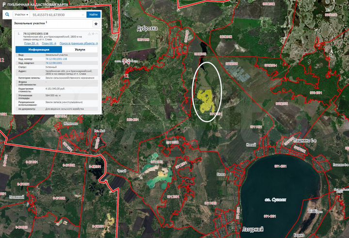 Участок 89,3 га (СНТ, ДНП)