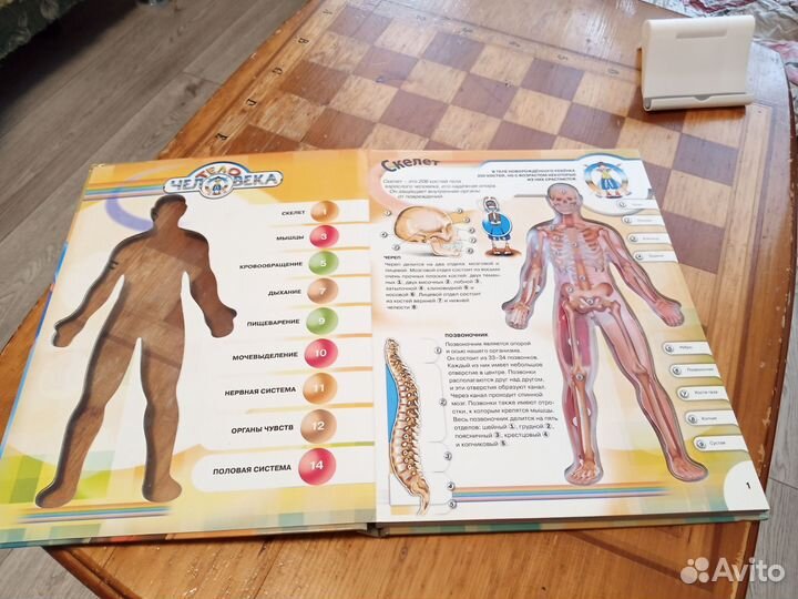 Книга тело человека