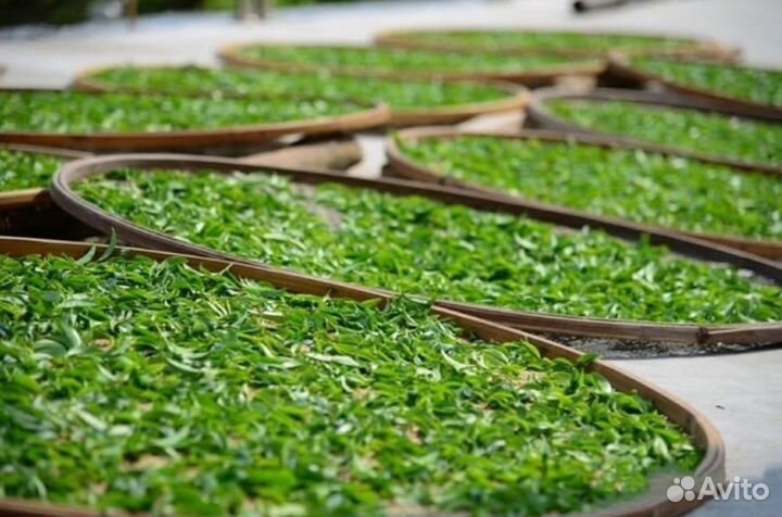 Китайский чай пуэр,улун. Энергия природы