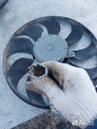 Моторчик охлаждения Вентилятора Ниссан Хтрейл Т31