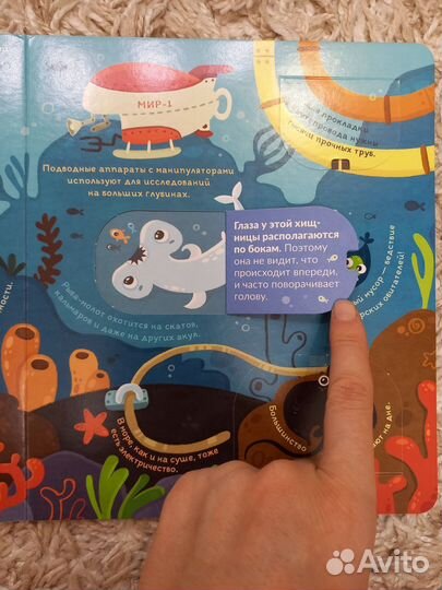 Книга со створками 