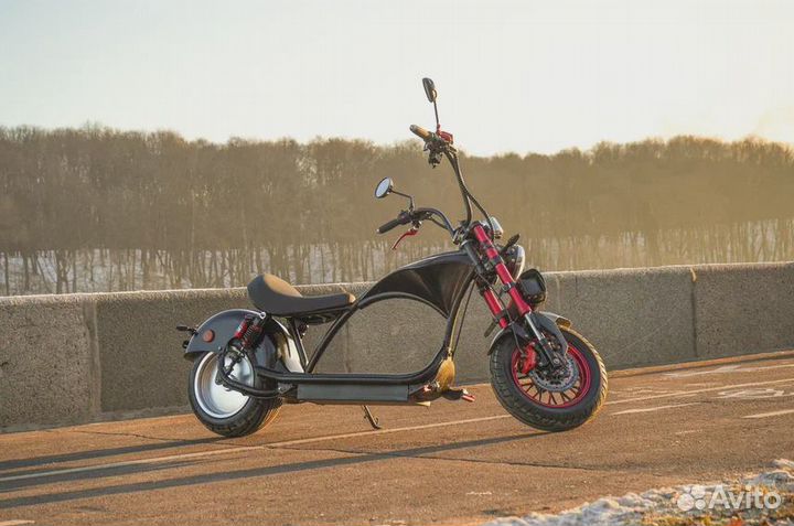 White Siberia Wild Wheel 3950W Black N E W 2023