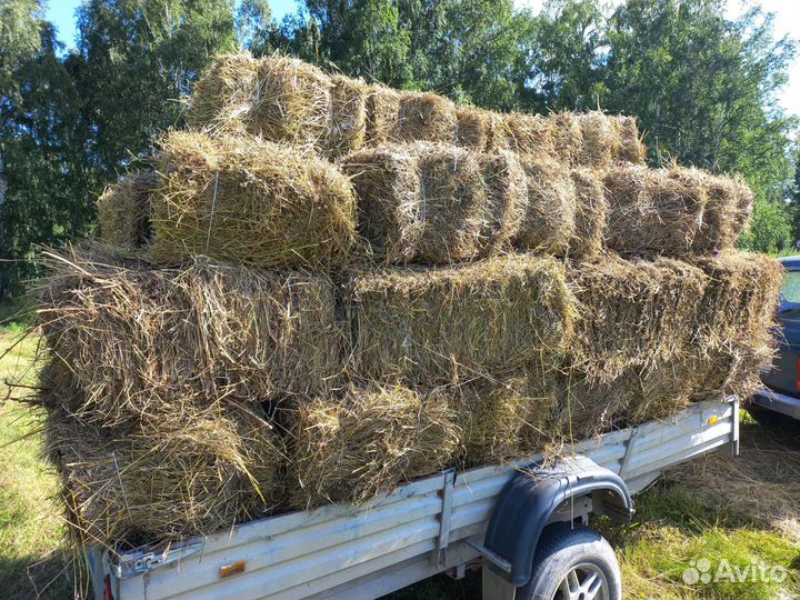 Сено в брикетах