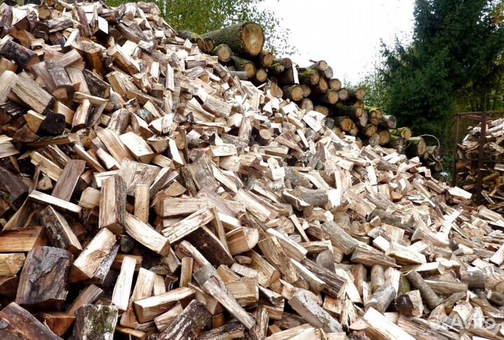 Дрова береза осина ольха