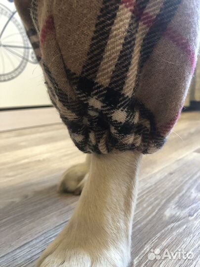 Куртка для собак