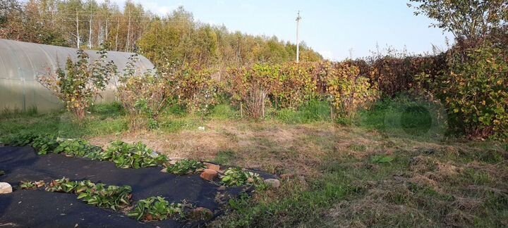 Участок 8,5 сот. (СНТ, ДНП)