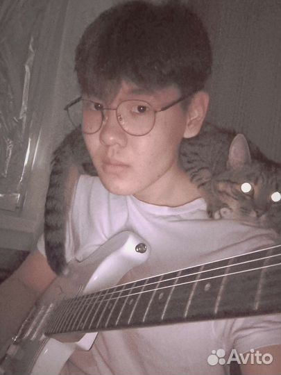 Котёнок ищет старых или новых хозяев