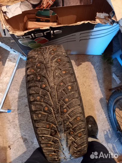 Nokian Tyres Hakkapeliitta 5 205/65 R15 99