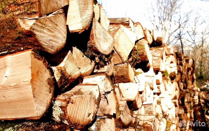 Сухие дрова