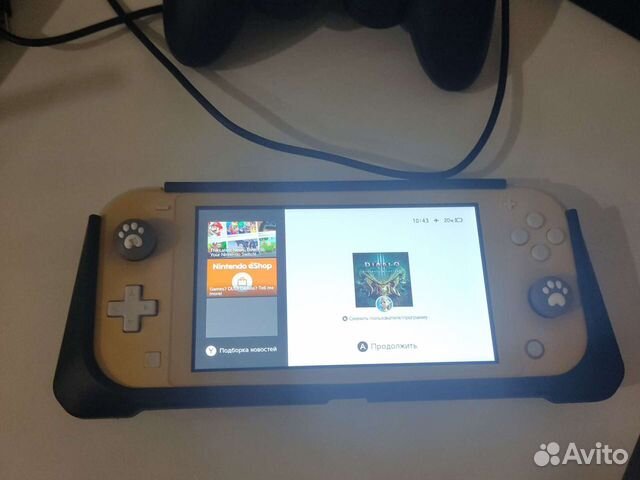 Nintendo switch lite