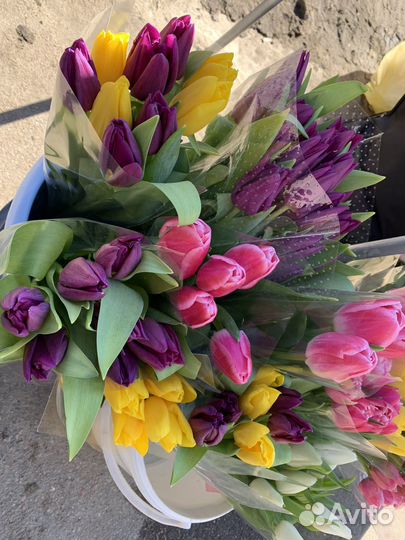 Тюльпаны к 8 марта