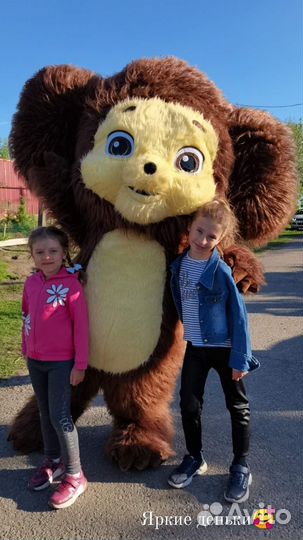 Ростовые куклы, собачка, зайка, кошечка, мишка