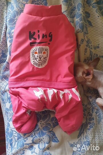 Курточка для собаки