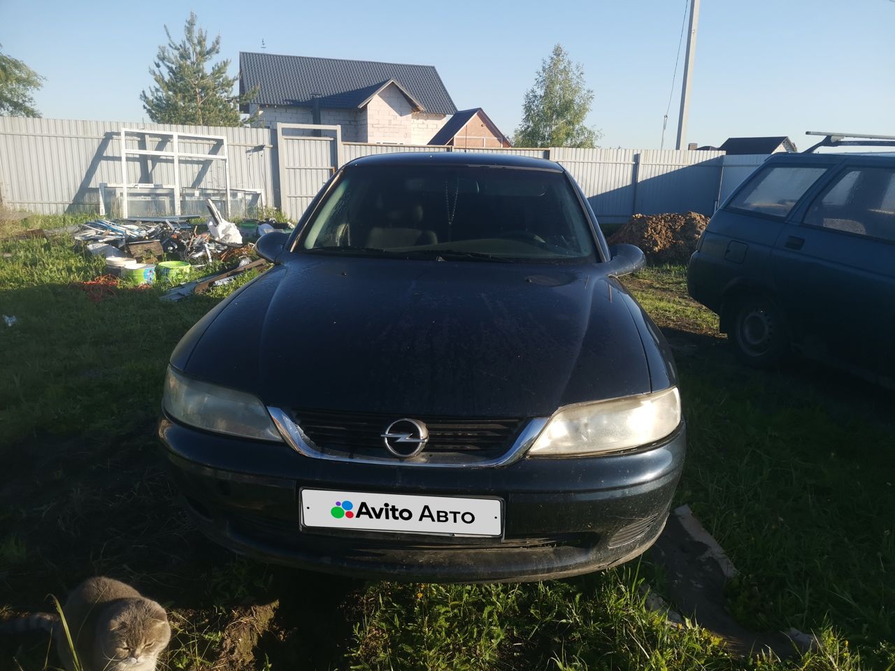 Opel Vectra: фото владельца