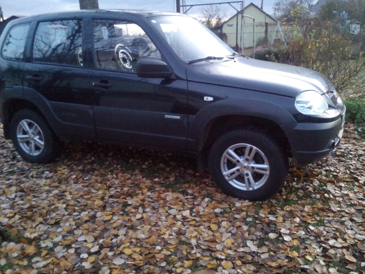 Chevrolet Niva: фото владельца