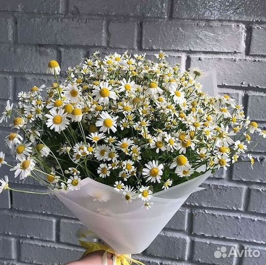 Букеты ромашек