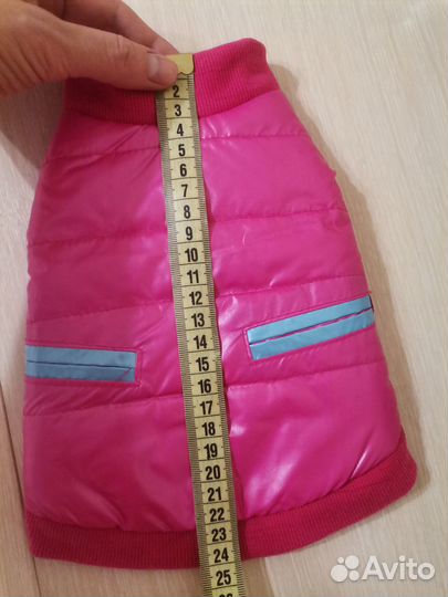 Одежда для собак