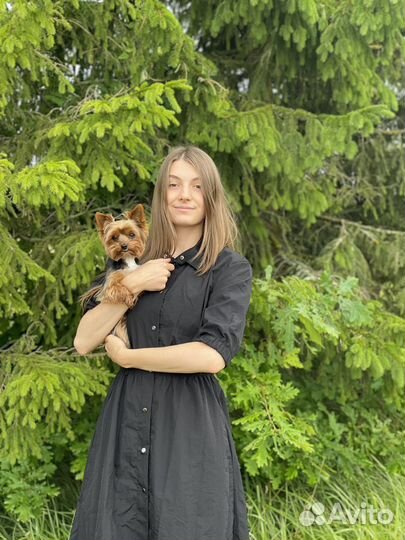 Груминг. Стрижка собак