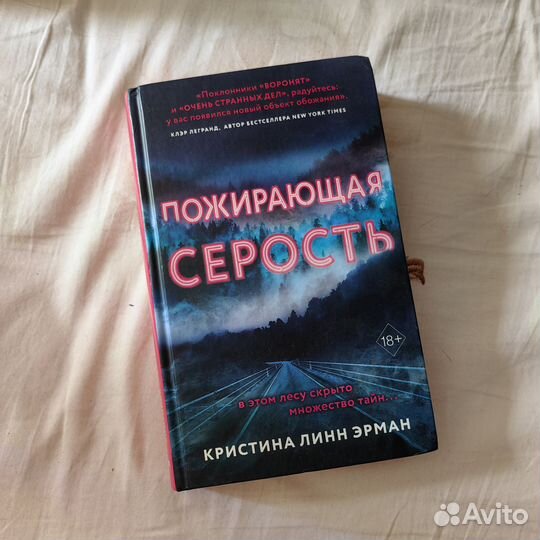 Книга Пожирающая Серость