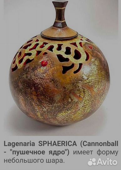 Семена Лагенарии колобас маракас