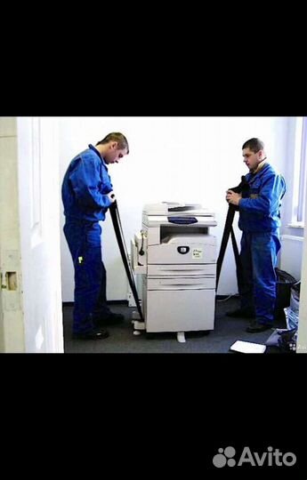 Грузчики, разнорабочие, сборка мебели