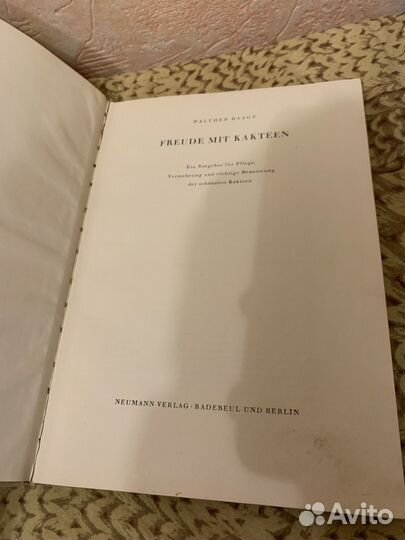 Вальтер хаге кактусы 1957