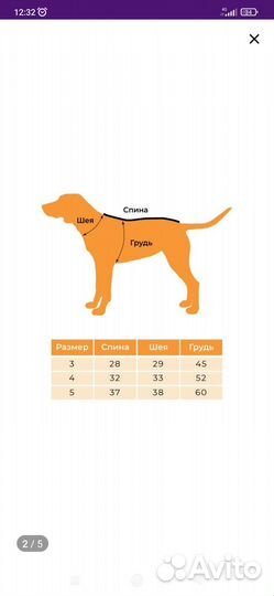 Костюм для животных