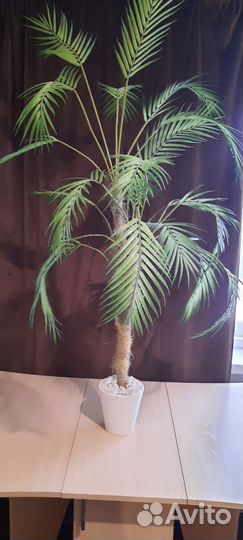 Искусственная пальма