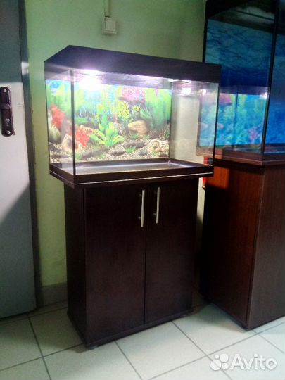 Аквариум 100 новый, свет, биофильтр фон тумба