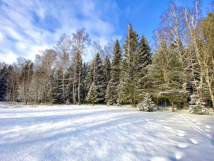 Участок 11,9 сот. (ИЖС)