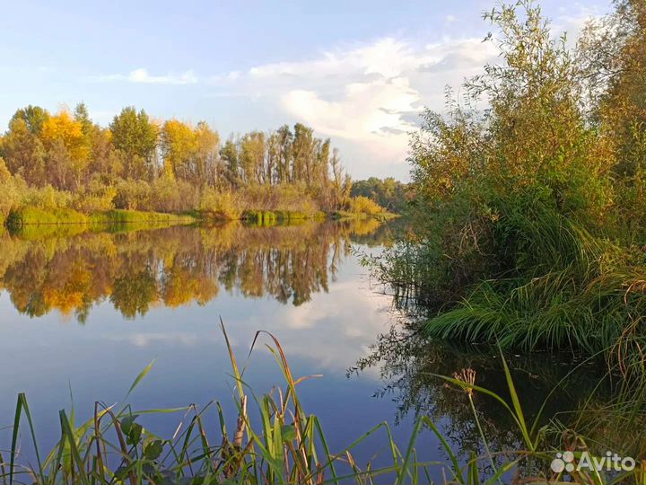 Картина на заказ