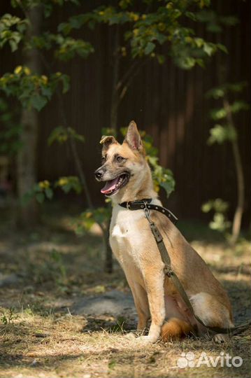 Молодая девочка охранница