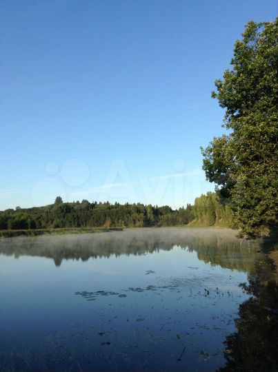 Участок 2,5 га (ИЖС)