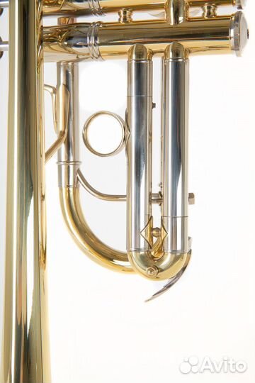 Труба Roy Benson TR-402C