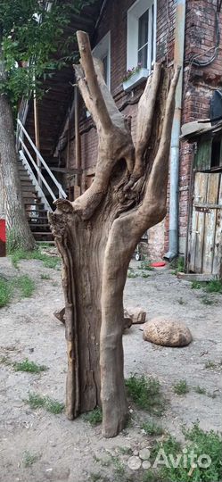 Арт объект из ствола сухого дерева