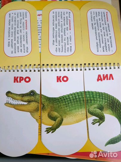 Развивающие книги для малышей