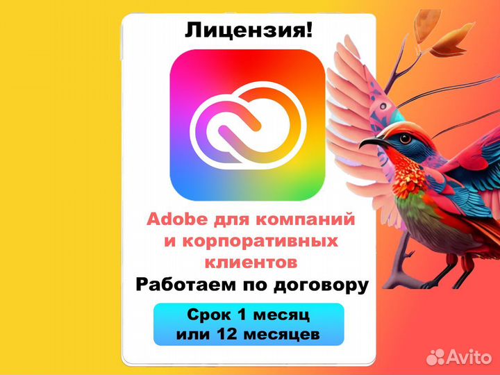 Adobe Creative Cloud для компаний