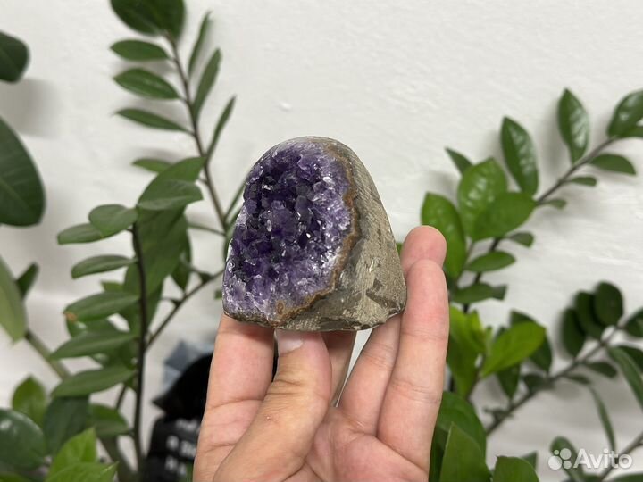 Друза аметиста 339 гр