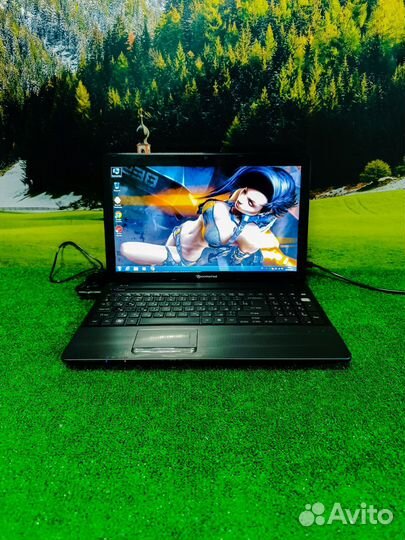 Очень надежный ноутбук Packard bell для игр