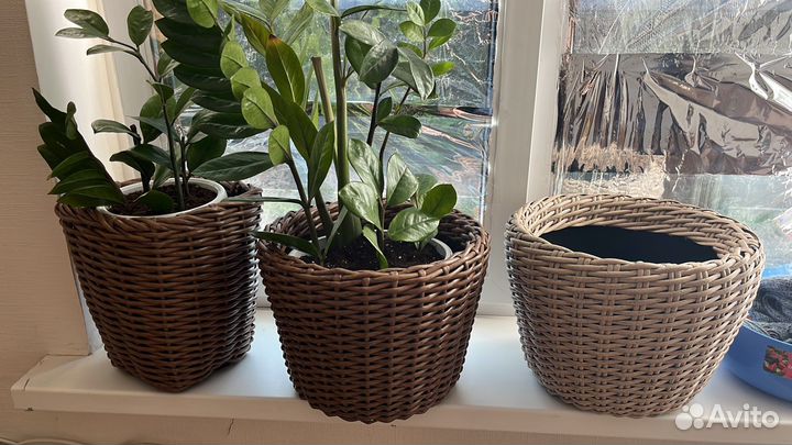 Плету из ротанга на заказ (есть в нналичии