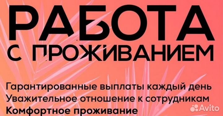 Работа с проживанием на берегу черного моря