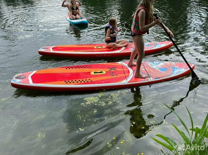 Sup board сап доска KOI