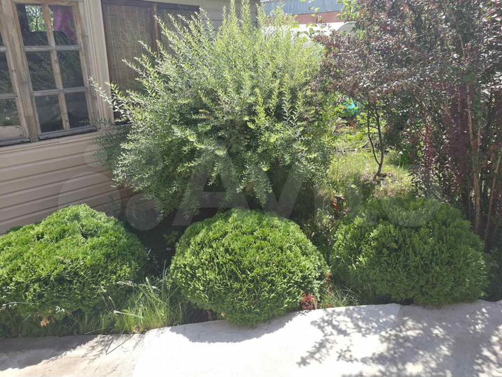 Дача 60 м² на участке 5 сот.