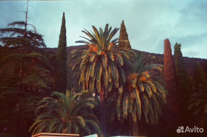 Плёночный фотоаппарат